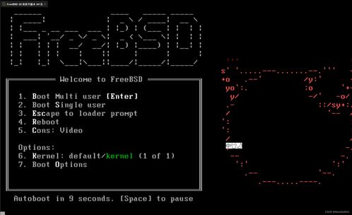 虛擬化與實(shí)體 FreeBSD UNIX系統(tǒng)在VMware上的安裝與建筑物電力系統(tǒng)安裝的對比
